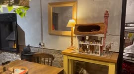 £180-a-night Airbnb - where you sleep share your room with a miniature horse