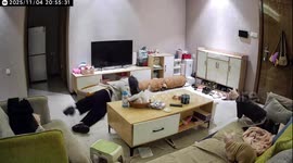 Woman trips over cat scratching board while entering home in Yunnan, China