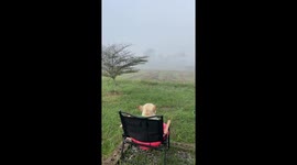French bulldog chills in deckchair to enjoy view over farm