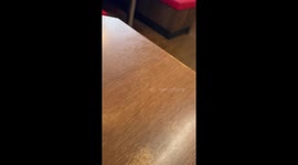 Robot waiter drops the dishes at noodle restaurant in Japan