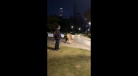 Two dogs hug and move playfully like humans in park in Shandong, China