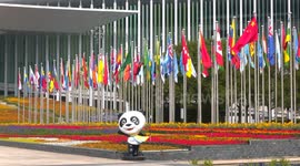 Nigeria: African nations welcome new pavilion for least developed countries (LDC) at CIIE