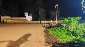 Striped Hyena Spotted Near Supa Dam Bridge in Uttara Kannada