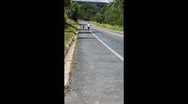 Man Rescues Injured Ram and Prevents Accident on Highway in Minas Gerais (Brazil)