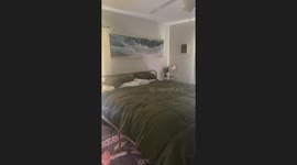 Naughty Cat Tucks Herself Into Bed