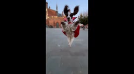 Bonnie Said Boo! Are You Scared Now?