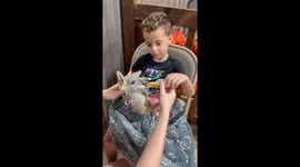 My Son Asked if the Kangaroo Has Autism