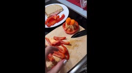 Adorable Dachshund enjoys red bell pepper treat in Miami, Florida, USA