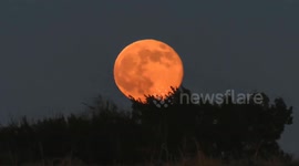 Supermoon glows over the horizon in Midlothian, Texas, USA