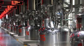 China: Smart technology reshapes traditional Chinese medicine production in east China