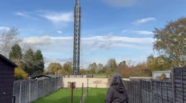 Residents lives 'ruined' by giant 100ft mast erected at the end of their gardens