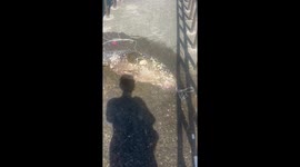 Delighted fisherman catches 80 kg grouper fish in Taiwan