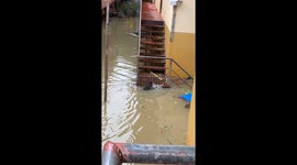 Clever pet dog swims to safety during typhoon floods in the Philippines