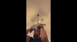 Unbelievable! My Cat Actually Lets Me Wear Him as a Hat!? The best