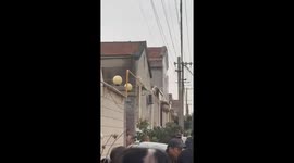 Dog appears bobbing its head along to the beats of live band in China