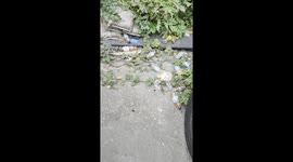 This video examines the unhygienic practices of Amazon delivery drivers in Belvedere.