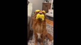 He Speaks for the Trees