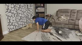 Cat Fights Owner For Breathing on Him