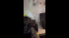 Hilarious Black Lab Reacts to 