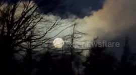 Supermoon shining at dawn in South Dublin, Ireland