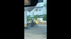 How Many Dog Will Fit On This Bike