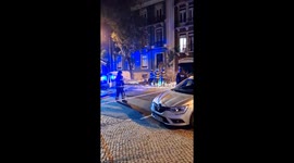 Fallen tree being cut in the middle of the street