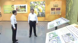 China: Xi visits pomelo growing base during inspection in Meizhou