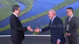 Brazil: China to speed up full green transition, advance carbon-peaking efforts