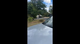 Big Brother Carries His Little Sister Home