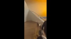 France: Pro-Palestinian Protesters Disrupt Israel Philharmonic Concert in Paris 2