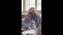 Playful cat rubs against woman’s hair in Seville, Spain