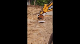 Dog enjoys a fun ride in excavator bucket in Hebei, China