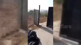 Israeli Settlers Attack Palestinian Farmer, Steal Olives Near Ramallah