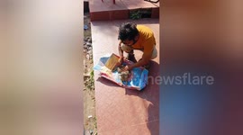 Heroic Rescue: Cat Saved from Dog Attack by Animal Welfare Group in Shahdol