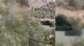 Israeli Settlers Attack Farmers and Homes Near Nablus