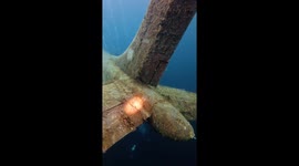 Sunken Piper PA28 becomes diver’s attraction—Hemmoor clip hits 1.8M views on Instagram