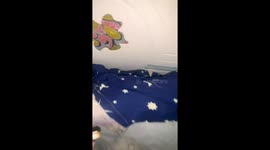 Mouse caught in bed in Hubei, China