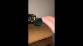 Man plays with a rat on the bed in Lafayette, Louisiana