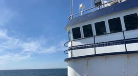 Bristol bay and southeast Alaskan commercial fishing