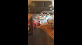 Crawling baby hits head