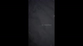 In this video, Colleen, mom of three made a decision that I need to take the salmon shark back out into the ocean. I was able to hold his tail where he couldn’t reach back to bite me. I had to take action fast!