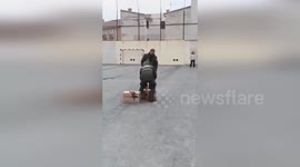 Spain: Red Kite With Severe Injuries Flies Free After Eight Months Of Recovery