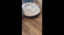 Evidence Is Right Under His Nose