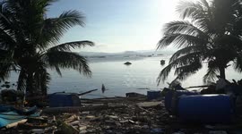 At least five people killed as Typhoon Kalmaegi makes landfall in Vietnam