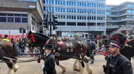 The First Lady Mayor for the City of London in over 800 years is Dane Susan Langley. She is the 697th Mayor of London