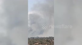 Palestine: Settlers Torch Olive Trees Southwest of Jenin