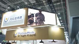 China: Global food exhibitors at CIIE seek to further tap China's market