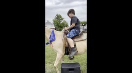 Grandson on a pony ride