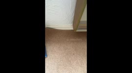 What's Under the Carpet