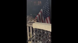 Mantis and Cat Interaction